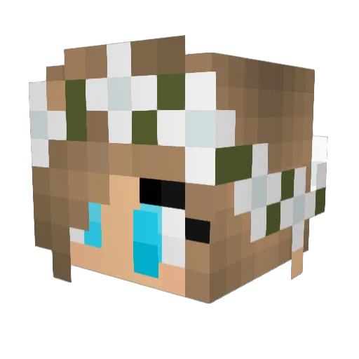 Coralix Minecraft avatar head, 3D render