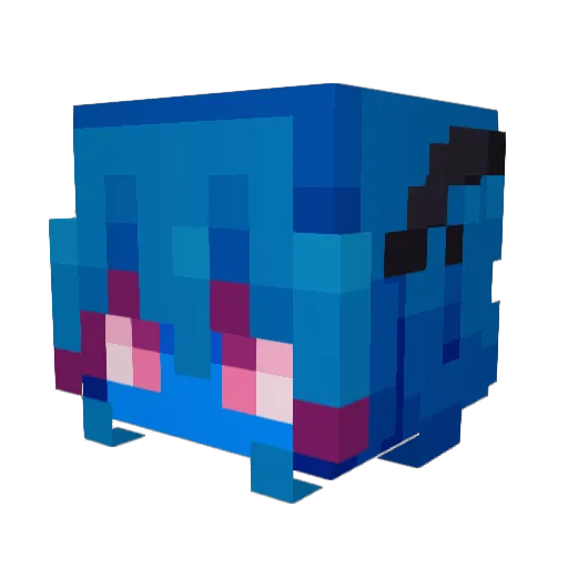 Corallth Minecraft avatar head, 3D render