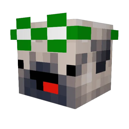 Coranous Minecraft avatar head, 3D render