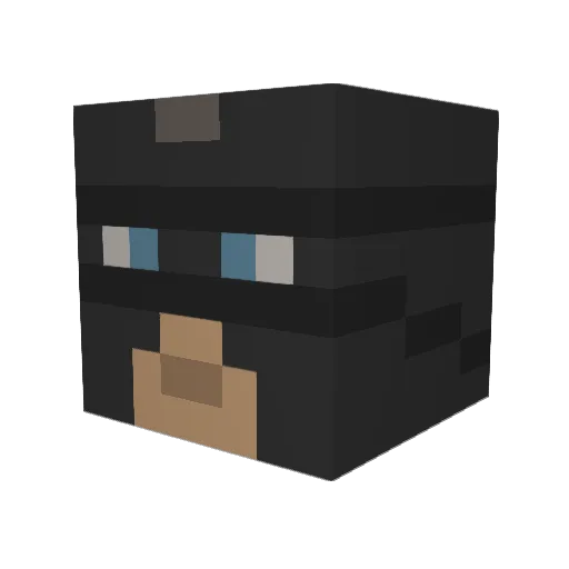 Coraydus Minecraft avatar head, 3D render