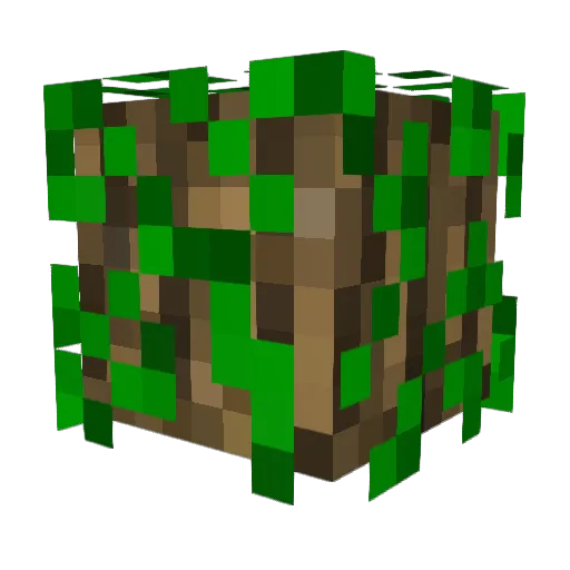 Corbius333 Minecraft avatar head, 3D render