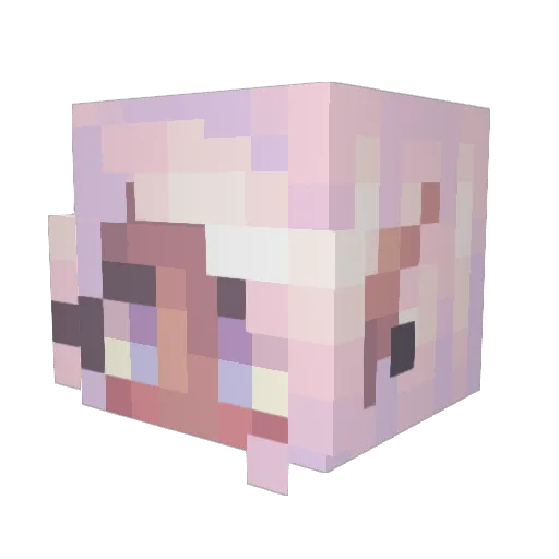 Corde_sentier Minecraft avatar head, 3D render