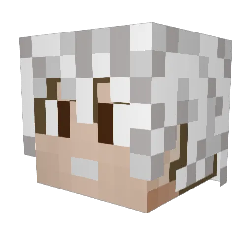 CordeiroNegro_G Minecraft avatar head, 3D render