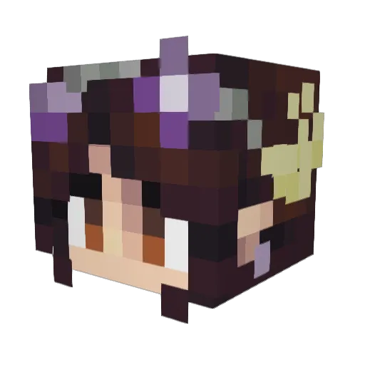 Corellia282 Minecraft avatar head, 3D render