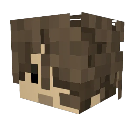 Corenti_DEV Minecraft avatar head, 3D render