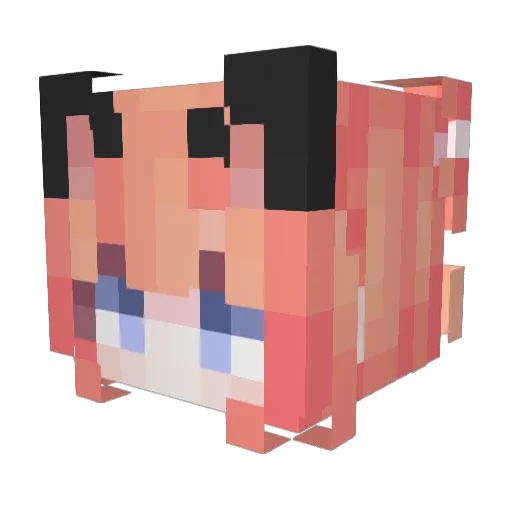 Corfee Minecraft avatar head, 3D render