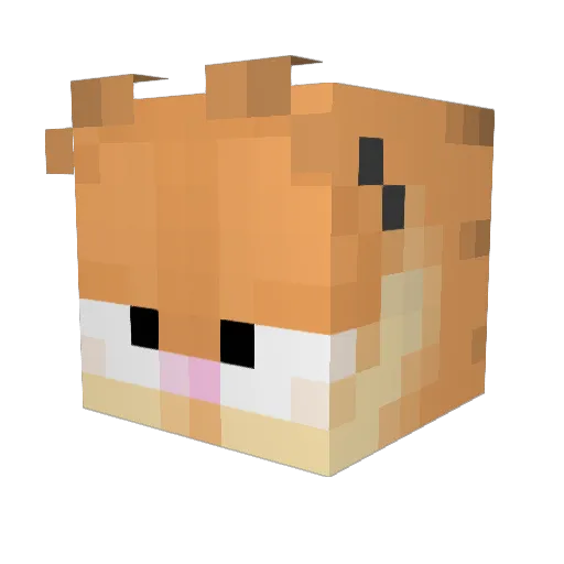 Corgael Minecraft avatar head, 3D render
