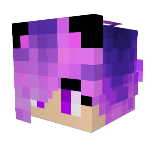 Corgansm2 Minecraft avatar head, 3D render