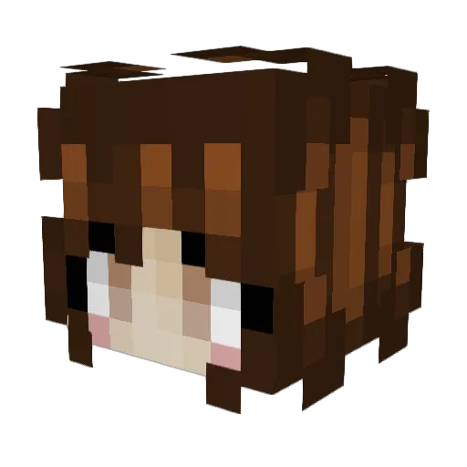 Corgi1507 Minecraft avatar head, 3D render
