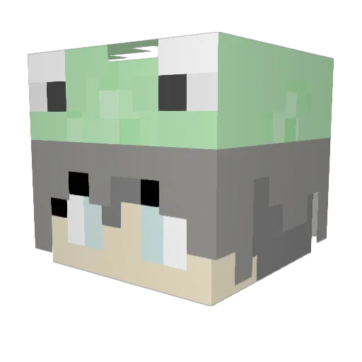 Corgi2357 Minecraft avatar head, 3D render