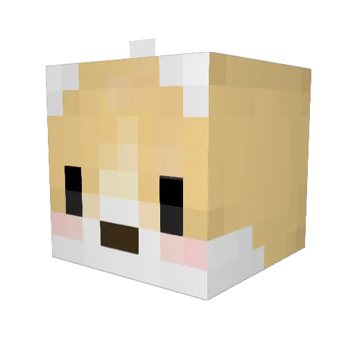 CorgiButter Minecraft avatar head, 3D render