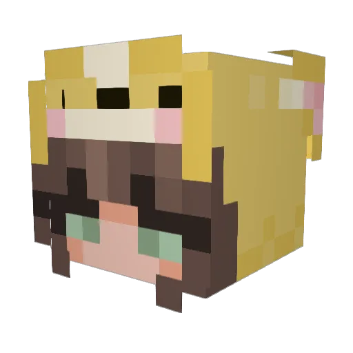 CorgiWelpe Minecraft avatar head, 3D render