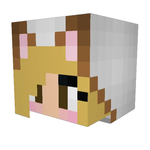 Corgi_Girl10 Minecraft avatar head, 3D render