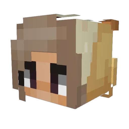 Corgibutts72 Minecraft avatar head, 3D render