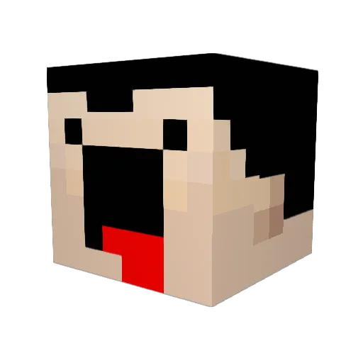 Corgidadnw Minecraft avatar head, 3D render