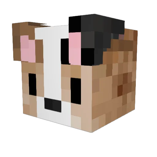 Corgifze Minecraft avatar head, 3D render