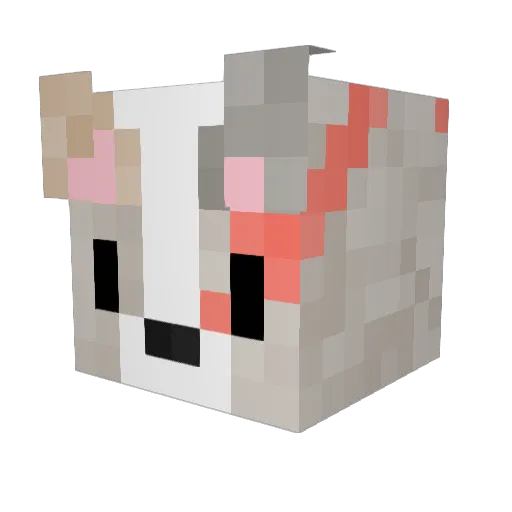 CorgiiWarss Minecraft avatar head, 3D render