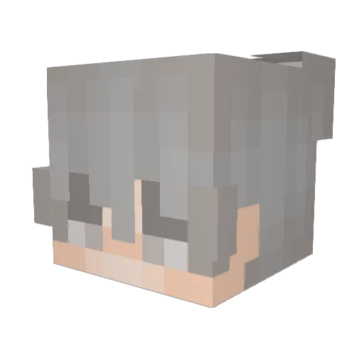 Corgimander Minecraft avatar head, 3D render