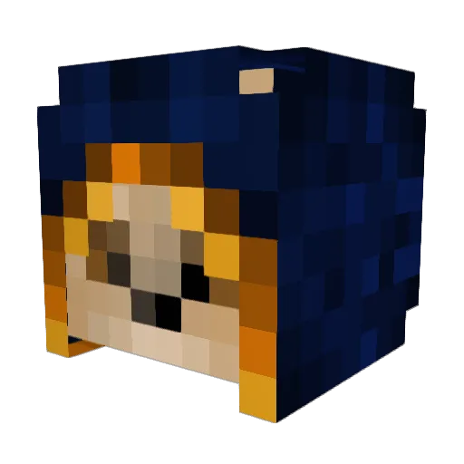 Cori835 Minecraft avatar head, 3D render