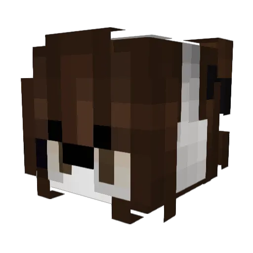Cori_Ivonny Minecraft avatar head, 3D render