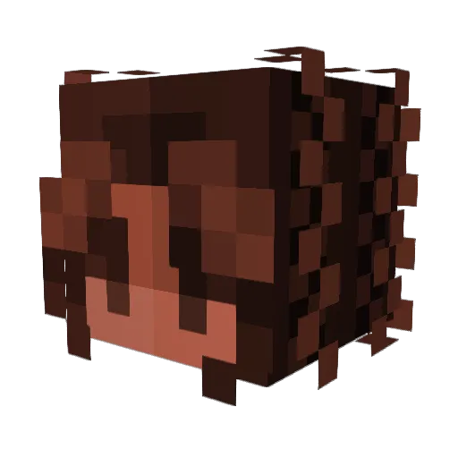 Corinityy Minecraft avatar head, 3D render