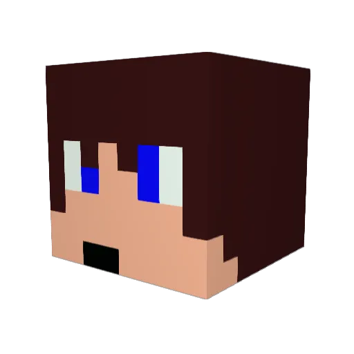 CorkBot10 Minecraft avatar head, 3D render