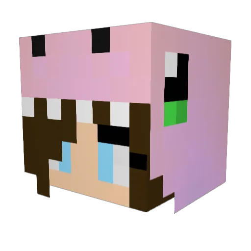 Corkboys Minecraft avatar head, 3D render