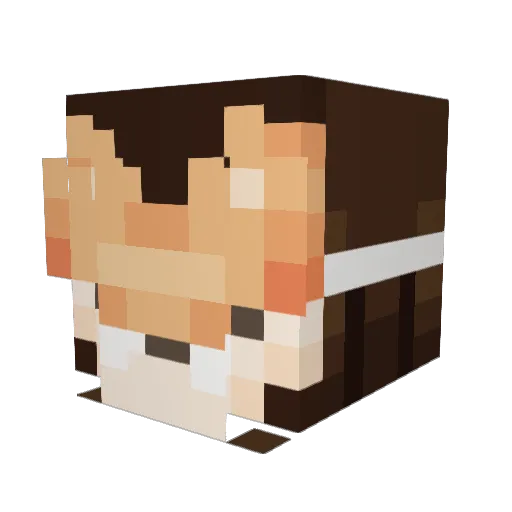 CorkyFox88 Minecraft avatar head, 3D render