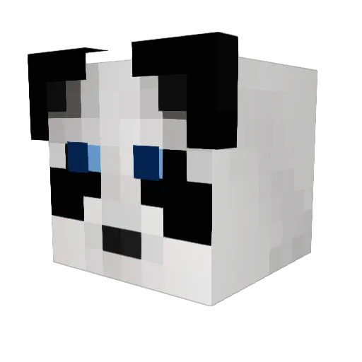 Corliss7 Minecraft avatar head, 3D render