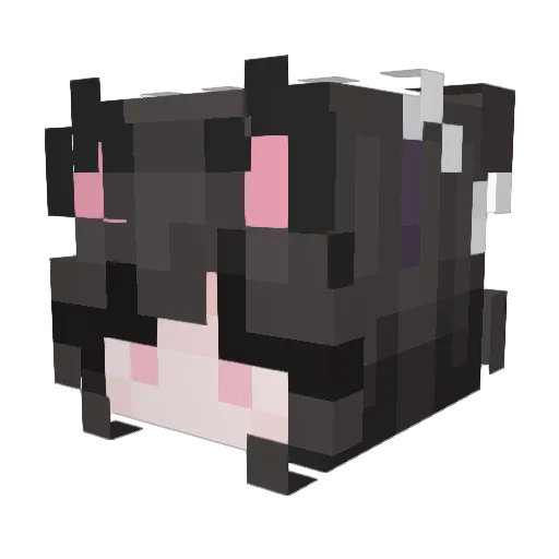 Corn_fish Minecraft avatar head, 3D render