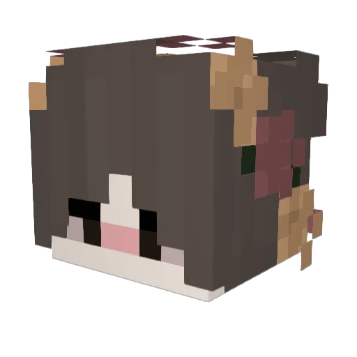 Cornel48 Minecraft avatar head, 3D render