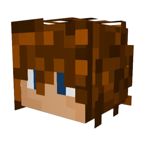 Cornelis0 Minecraft avatar head, 3D render