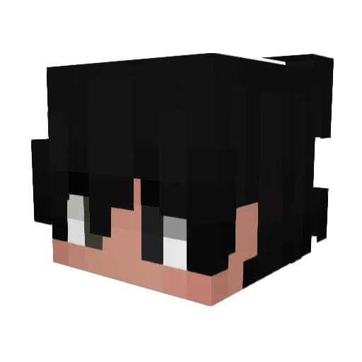 Corner49 Minecraft avatar head, 3D render