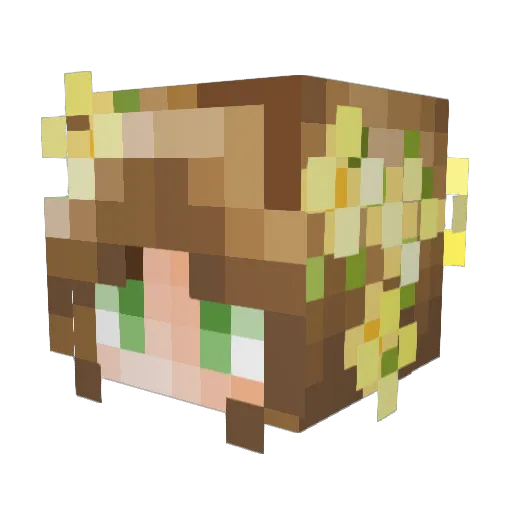 Cornercrickett Minecraft avatar head, 3D render