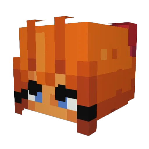 Cornflakes113 Minecraft avatar head, 3D render