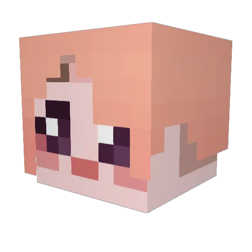 Cornsua Minecraft avatar head, 3D render