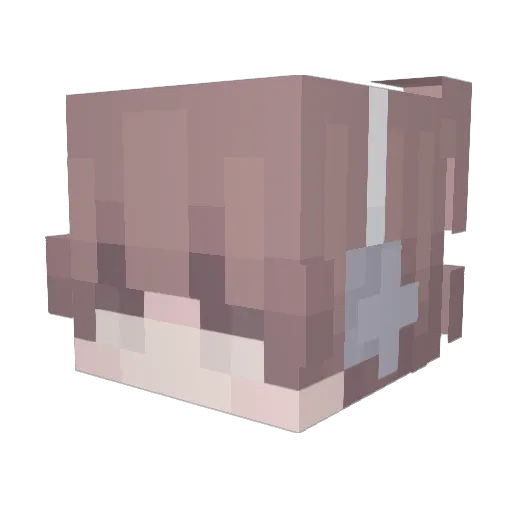 CornyEmperor260 Minecraft avatar head, 3D render