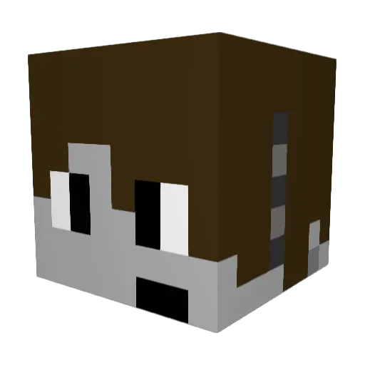 Coron984 Minecraft avatar head, 3D render