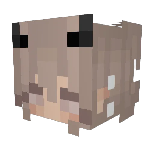 CorporalJeffe Minecraft avatar head, 3D render