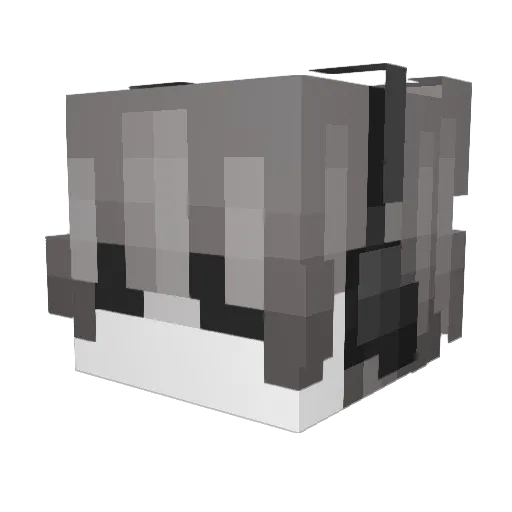 Corpse_Heart Minecraft avatar head, 3D render