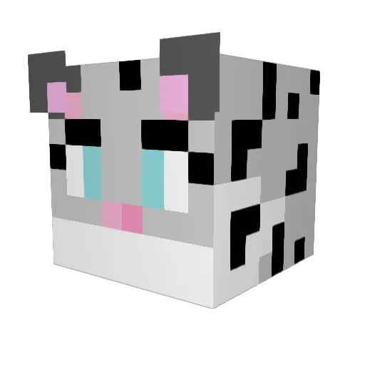 Corraide Minecraft avatar head, 3D render