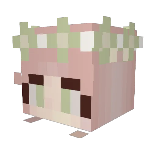 Corrie_Bubbles Minecraft avatar head, 3D render