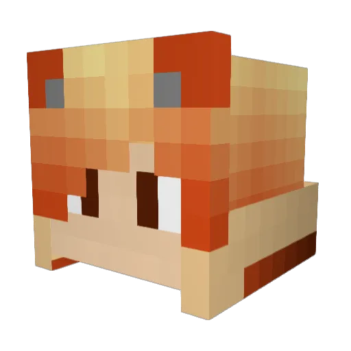 Corrik55 Minecraft avatar head, 3D render