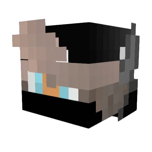 Corrinthewolf Minecraft avatar head, 3D render