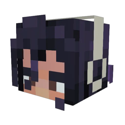 Corrupted_Luk Minecraft avatar head, 3D render