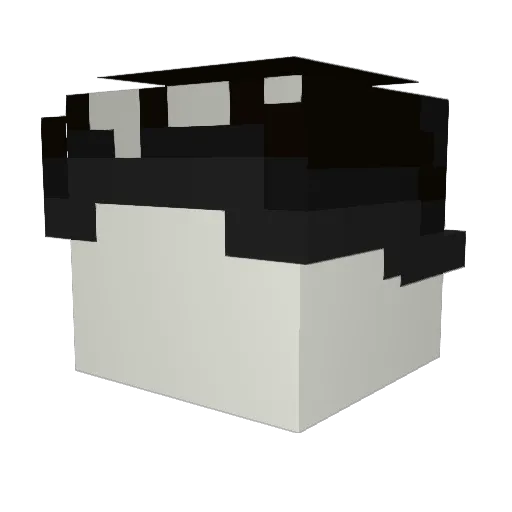 Corruptnnn Minecraft avatar head, 3D render