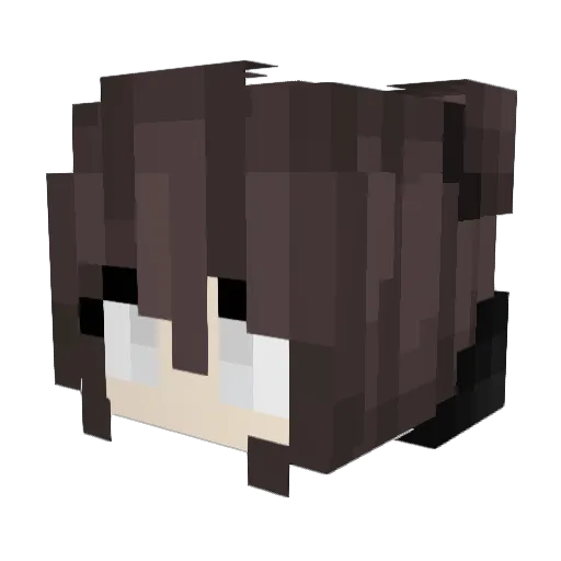 CorryUwU Minecraft avatar head, 3D render