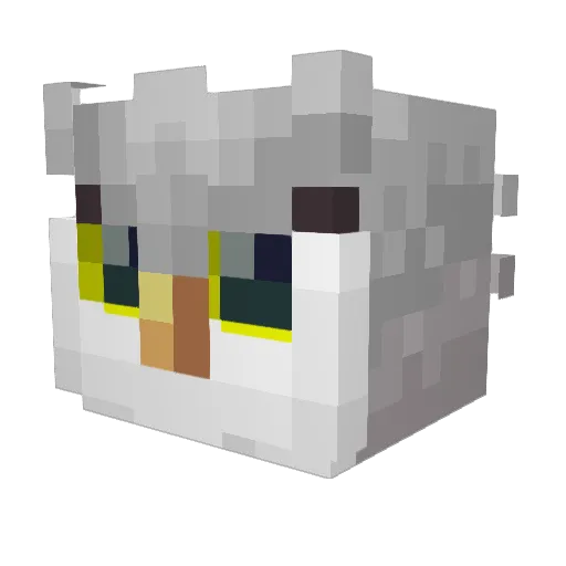 CorujaOwl Minecraft avatar head, 3D render