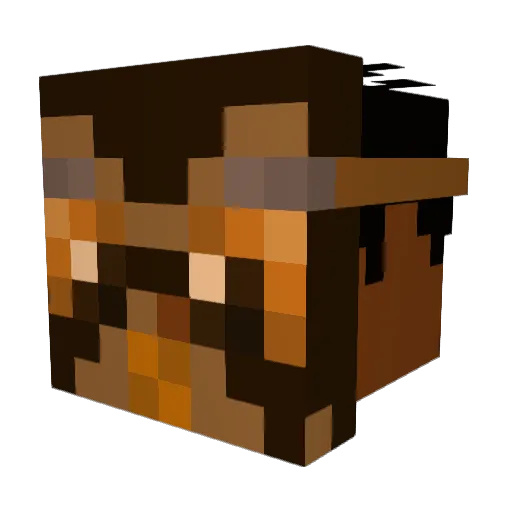 Corujeiro Minecraft avatar head, 3D render
