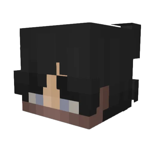 Corvanity Minecraft avatar head, 3D render